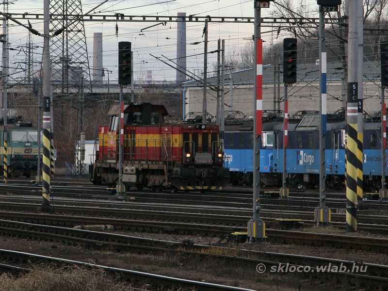 731.061-8