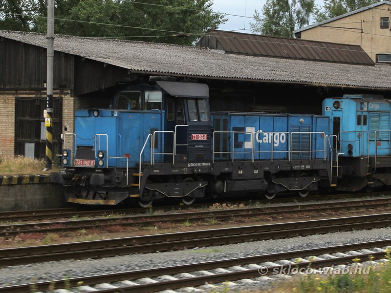 731.062-6