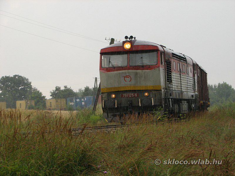 751 125-6 