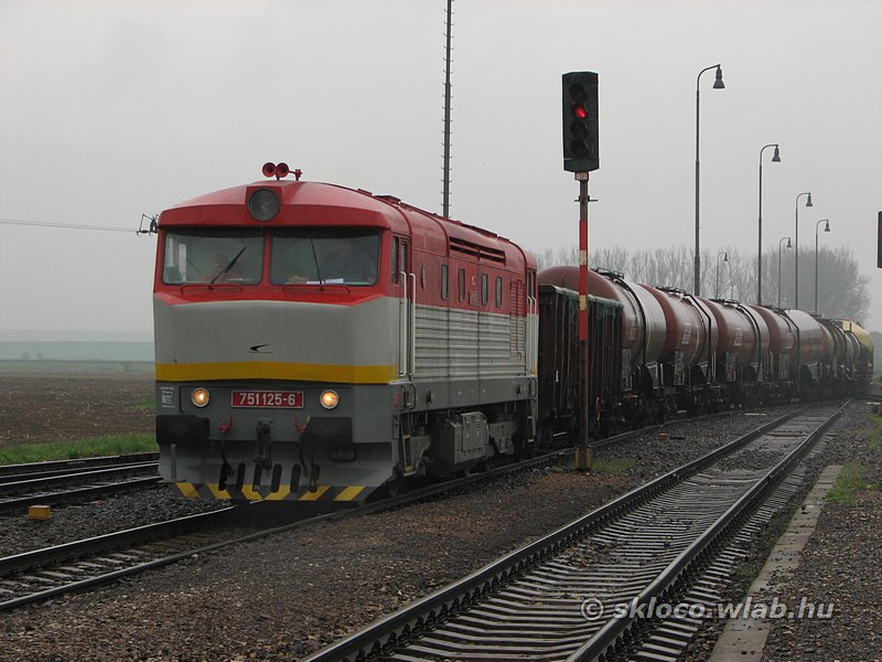 751 125-6