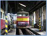 751 131-4 2006.06.10. �adca 