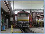 751 199-1 2011.05.15. Ple�ivec