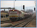 751 200-7 2008.01.26. Diviaky
