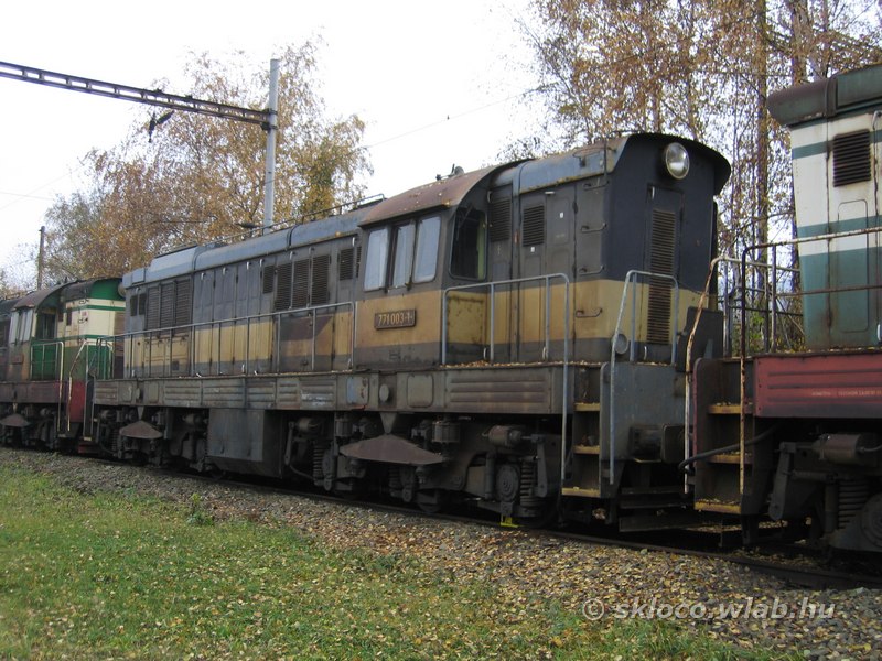 771 003-1