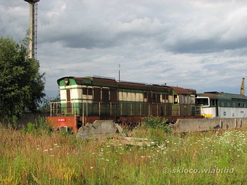 771 037-9
