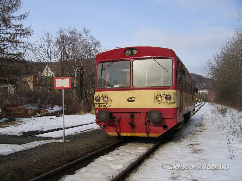 810 165-1