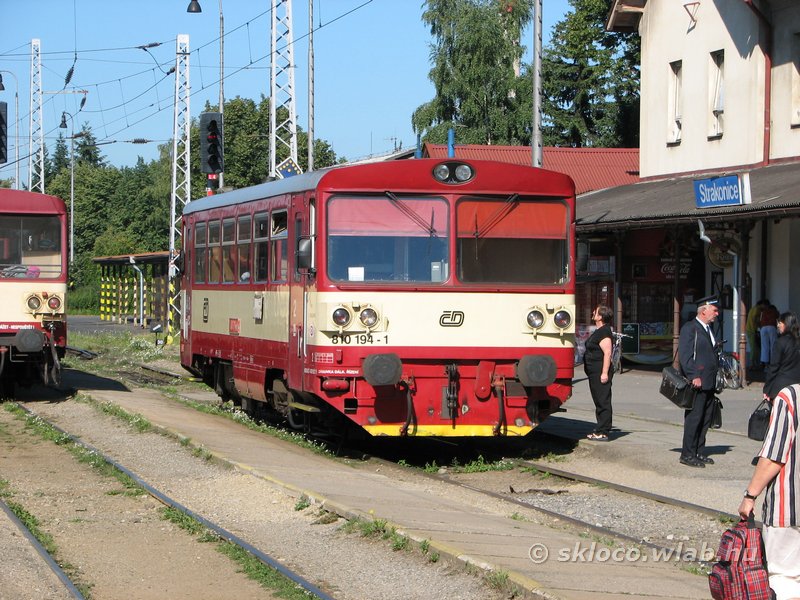 810 194-1