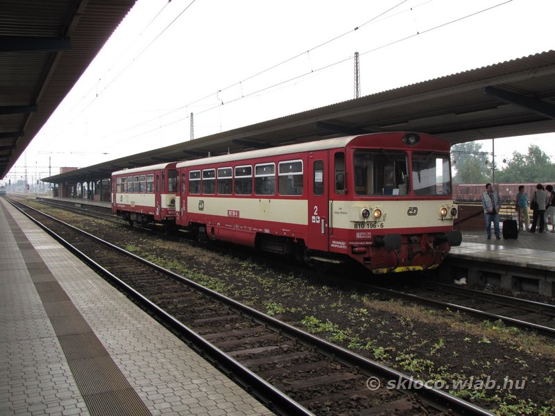 (810 196-6)