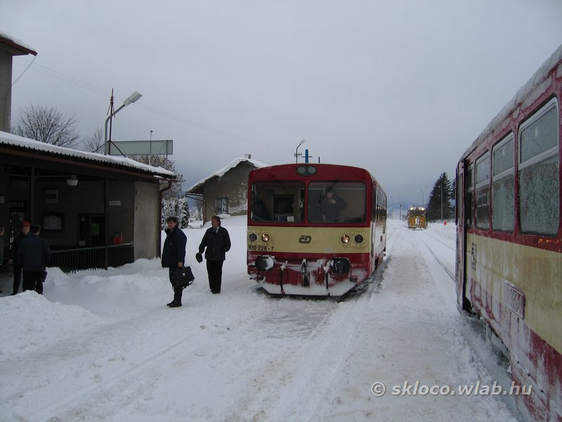 810 228-7