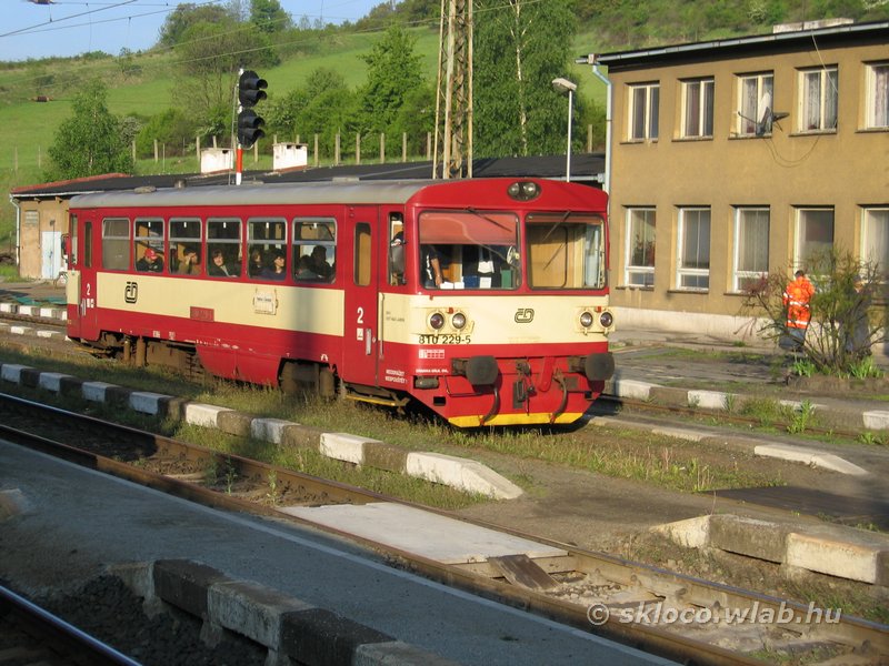 810 229-5