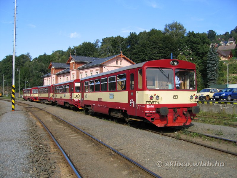 (810 261-8)