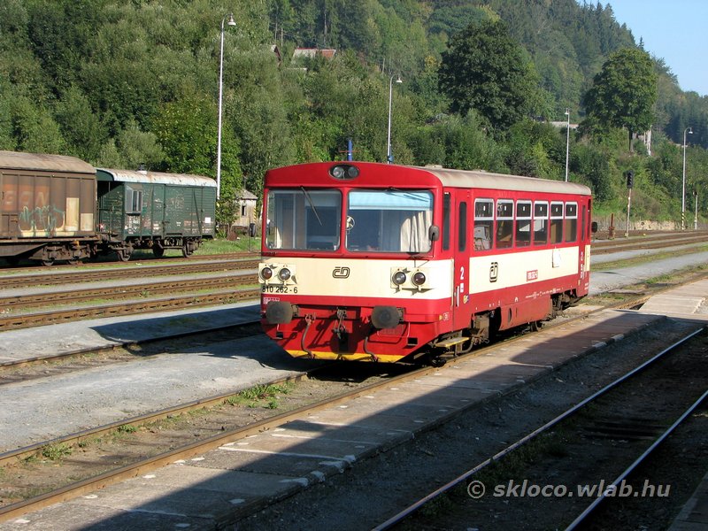 810 262-6