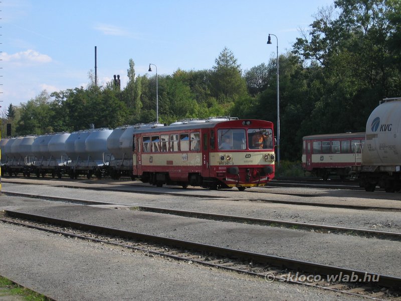 810 287-3