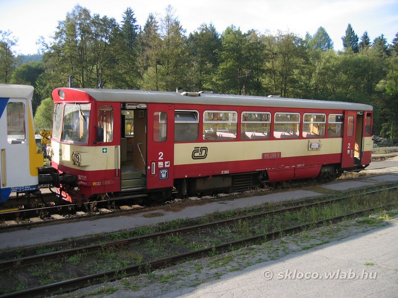 810 289-9