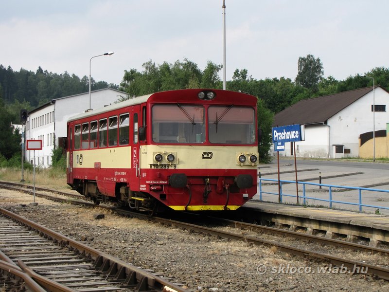 810 289-9