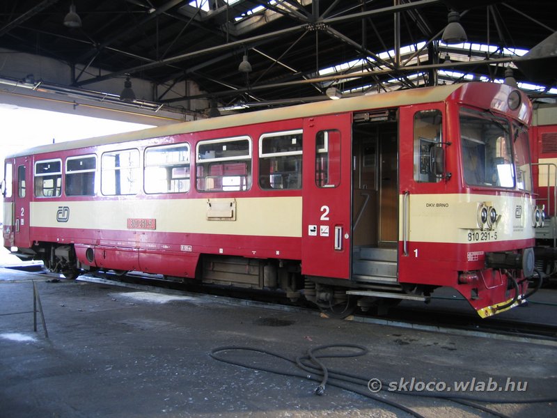 810 291-5