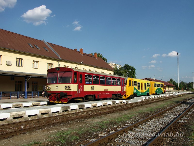 810 298-0