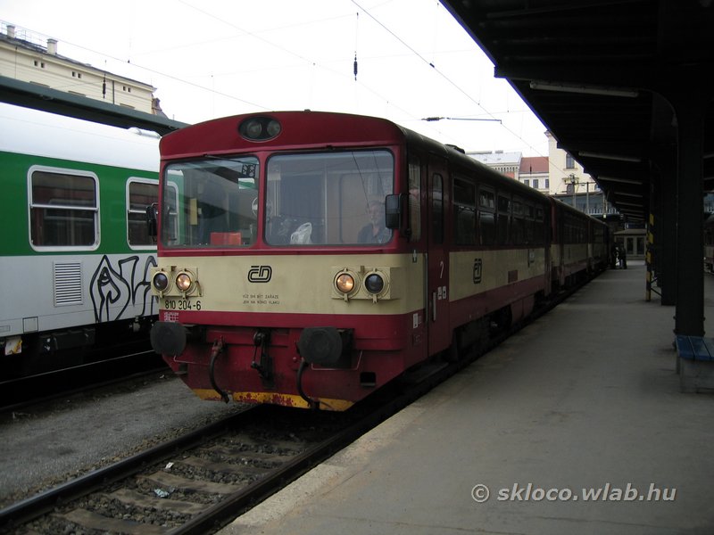 810 304-6