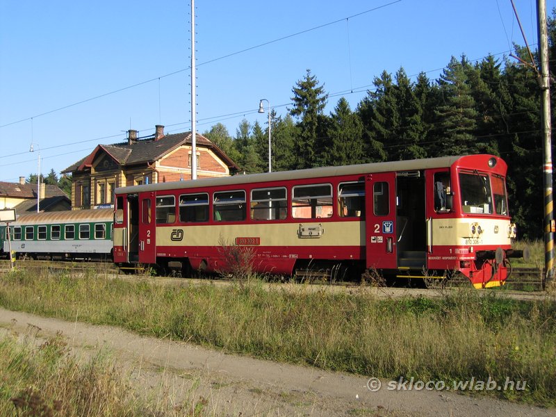 810 306-1