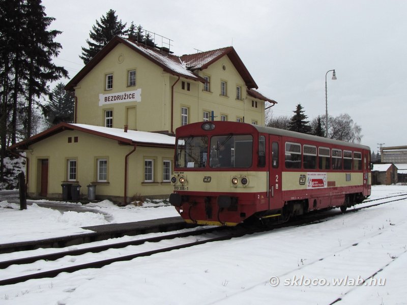 810 306-1
