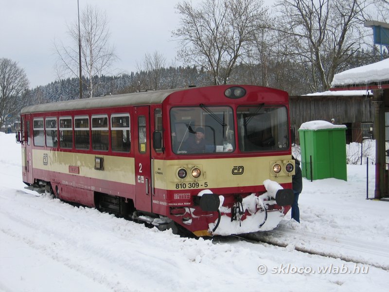 810 309-5