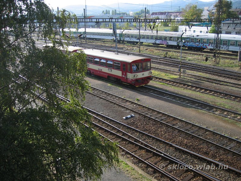 810 310-3
