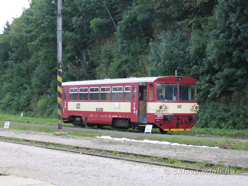 (810 311-1)