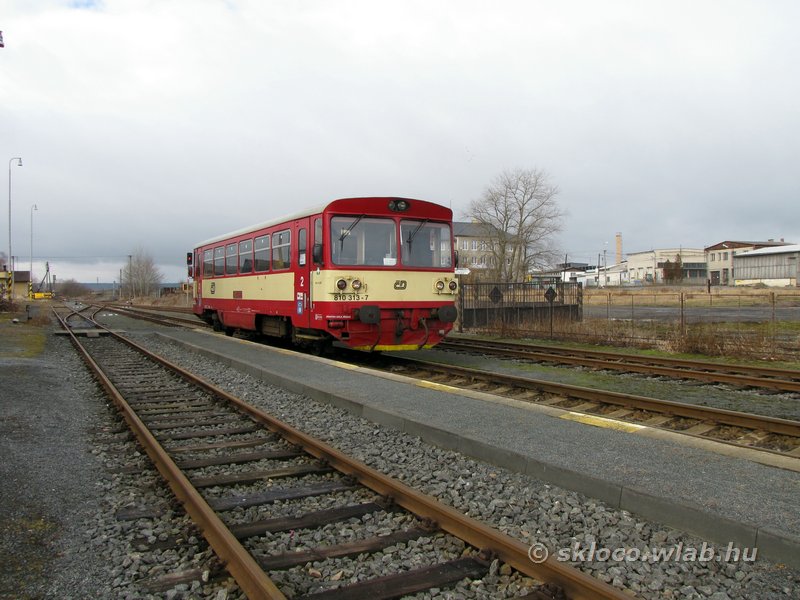 810 313-7