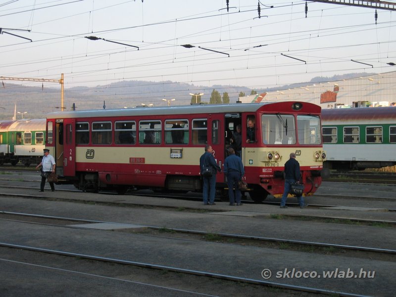 (810 316-0)