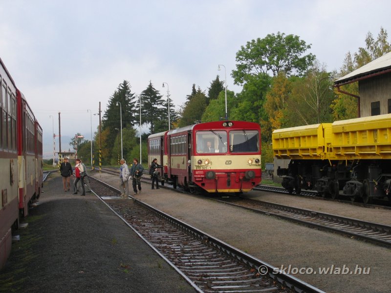 810 325-1