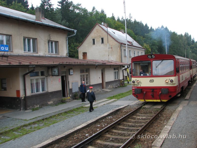 810 329-3