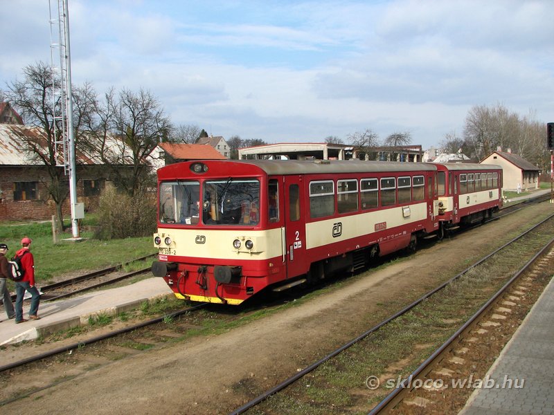 810 339-2