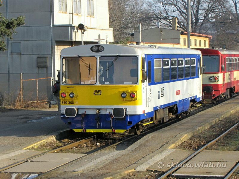 810 368-1