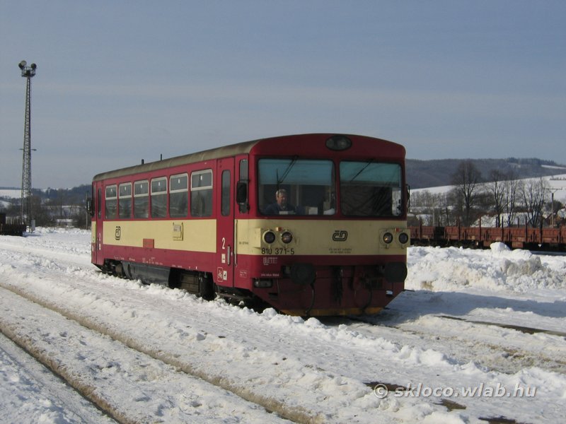 810 371-5