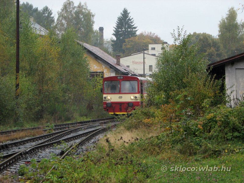 810 383-0