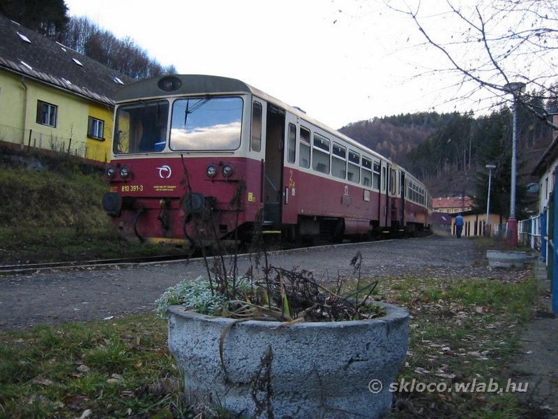 810 391-3
