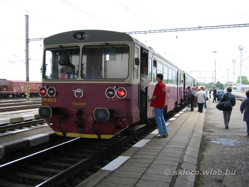 810 447-3