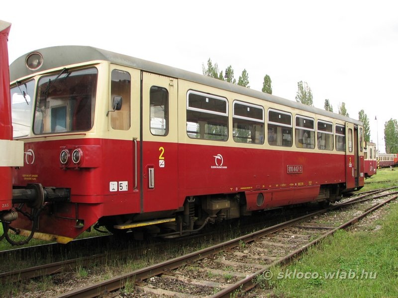 810 447-3