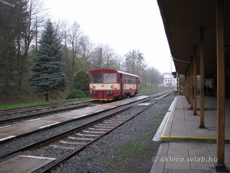 (810 456-4)