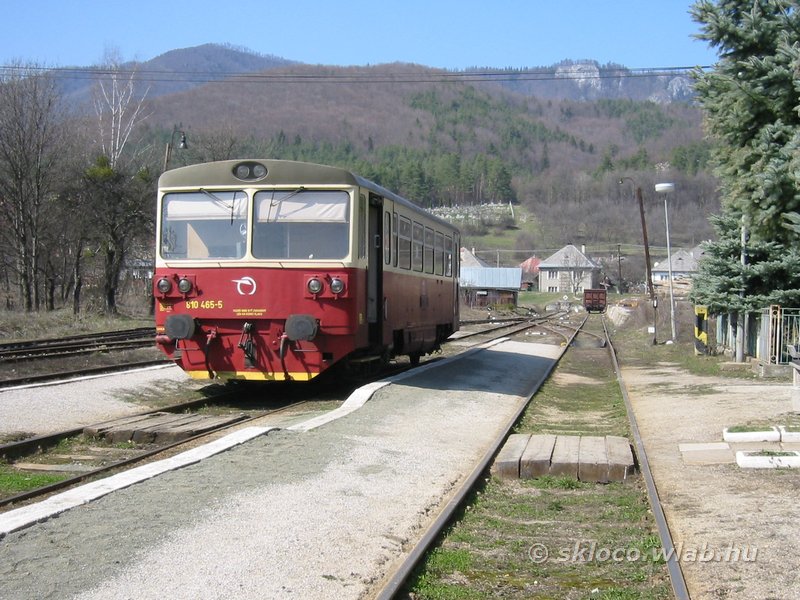 (810 465-5)